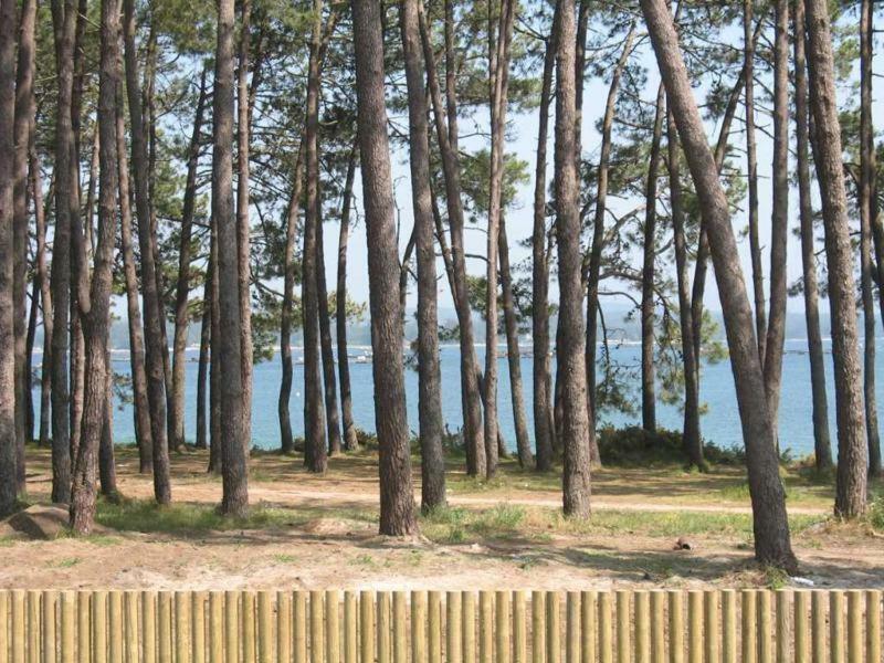 Апартаменти Excelente Apartamento En La Ісла-де-Ароса Екстер'єр фото